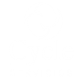 Cycle Servicios - copia